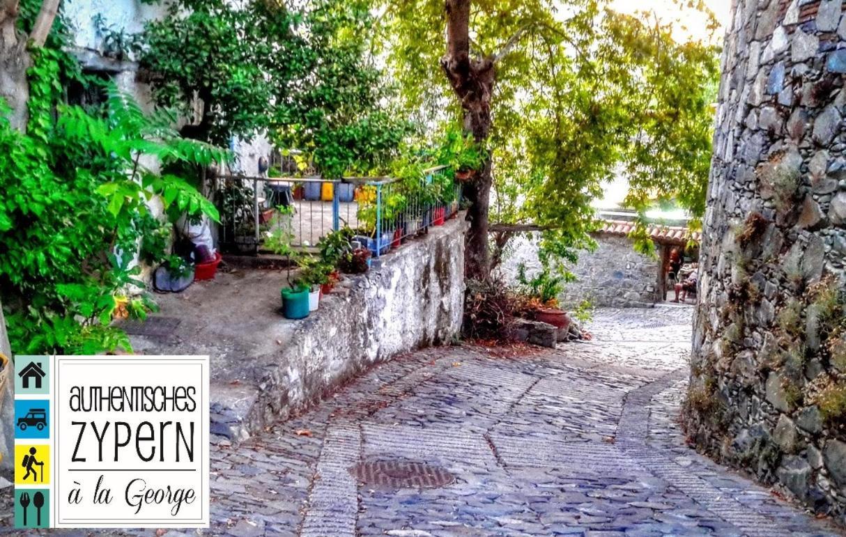 Isminis Petroktisto Holidays Stonehouse Palechori Exterior photo